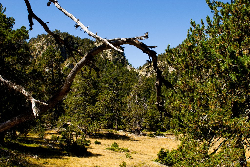 sentier entre les lacs de Valiserra et de la Balmeta_GIL4495.JPG